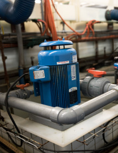 Penguin plating pump Reliable Equipment Sales