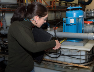 Reliable Equipment Services on-site, expert pump and process services